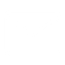 Email Us